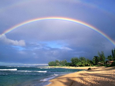 Seaside Wallpaper Collection